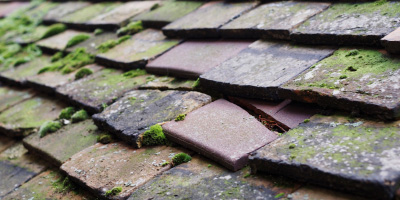 Pednor roof repair costs